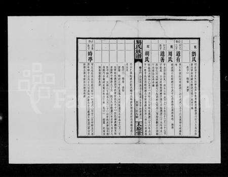 湖南易氏族谱-易氏族谱.pdf电子版预览图4