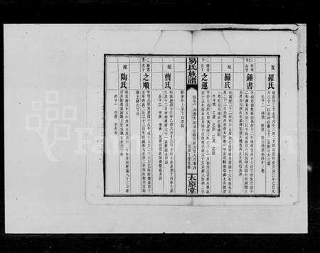 湖南易氏族谱-易氏族谱.pdf电子版预览图5