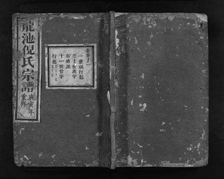 浙江倪氏族谱-龙池倪氏宗谱 [总卷数不详].pdf电子版预览图1