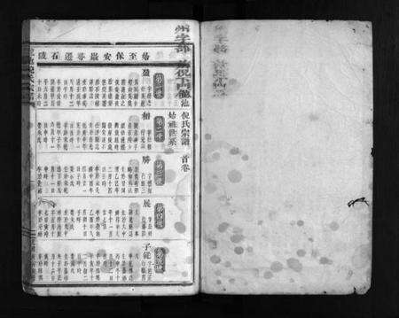 浙江倪氏族谱-龙池倪氏宗谱 [总卷数不详].pdf电子版预览图2