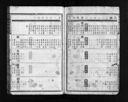 浙江倪氏族谱-龙池倪氏宗谱 [总卷数不详].pdf电子版预览图3