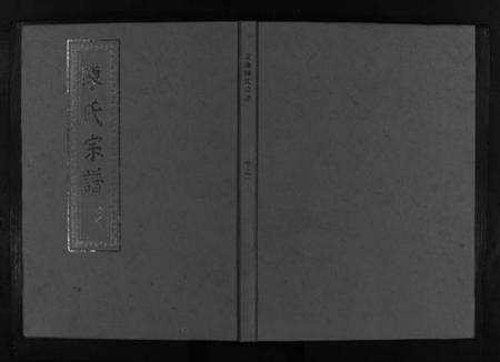 浙江陈氏族谱-龙池陈氏宗谱 [3卷].pdf电子版预览图1