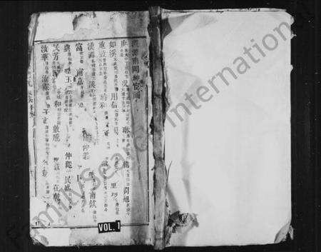 江西龙氏族谱-泷潭南冈龙氏族谱 [残卷].pdf电子版预览图1