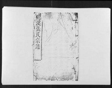 浙江张氏族谱-龙溪张氏八甲宗谱[15卷首1卷].pdf电子版缩略图