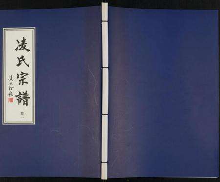 江苏凌氏族谱-凌氏宗谱.pdf电子版缩略图