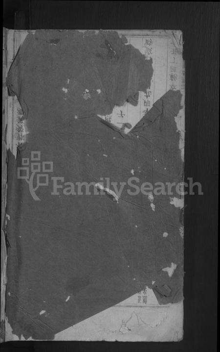 浙江张氏族谱-龙溪张氏宗谱[总卷数不详].pdf电子版预览图1