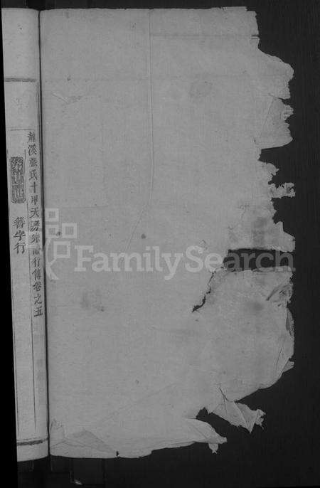 浙江张氏族谱-龙溪张氏宗谱[总卷数不详].pdf电子版预览图2