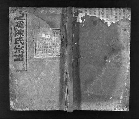 浙江陈氏族谱-龙溪陈氏宗谱 [30卷].pdf电子版预览图1