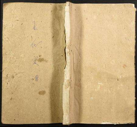 浙江王氏族谱-龙湾王氏宗谱.pdf电子版缩略图