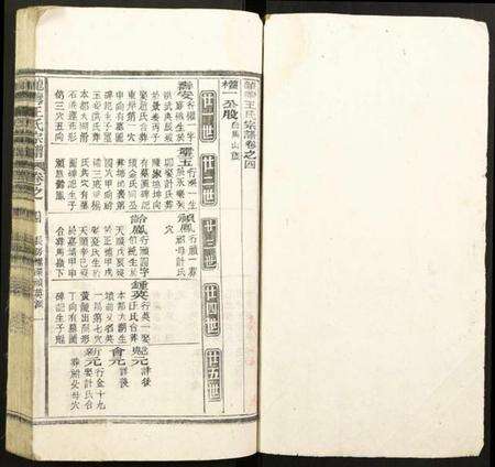 浙江王氏族谱-龙湾王氏宗谱.pdf电子版预览图1