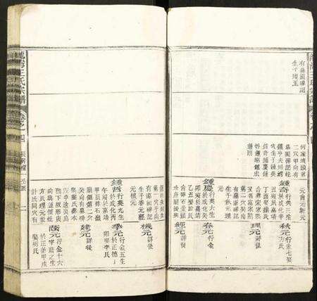 浙江王氏族谱-龙湾王氏宗谱.pdf电子版预览图2