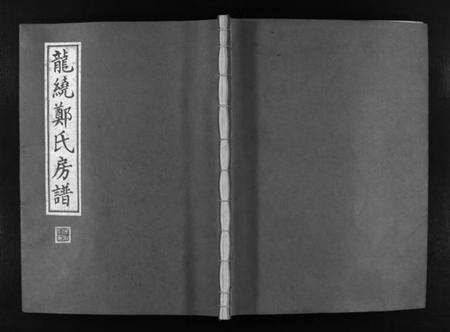 浙江郑氏族谱-龙绕郑氏房谱 [不分卷].pdf电子版预览图1