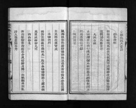 浙江倪氏族谱-龙门倪氏宗谱 [10卷].pdf电子版预览图4