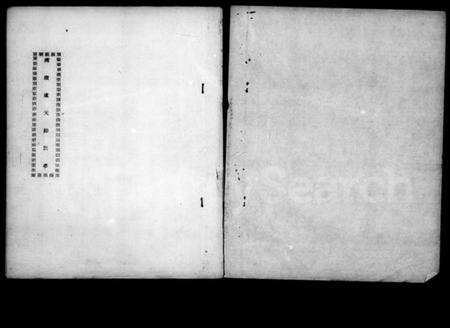 江西卢氏族谱-南康卢天鹏记事.pdf电子版预览图2