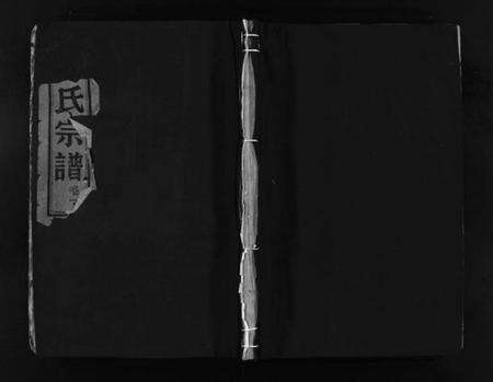 浙江万氏族谱-龙门万桥扶风万氏宗谱 [9卷].pdf电子版预览图1