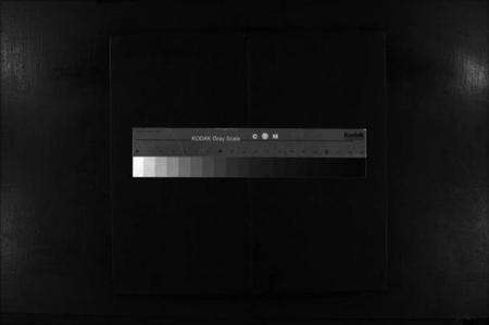 浙江金氏族谱-龙门金氏宗谱 [不分卷].pdf电子版缩略图