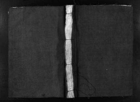 浙江金氏族谱-龙门金氏宗谱 [不分卷].pdf电子版预览图1