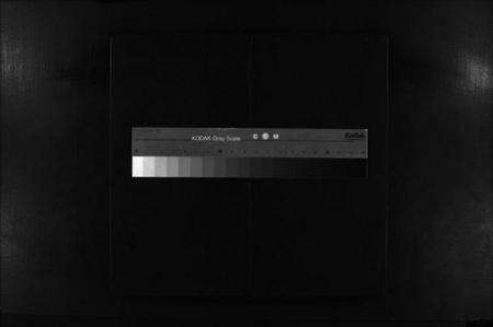 浙江金氏族谱-龙门金氏宗谱 [不分卷].pdf电子版缩略图