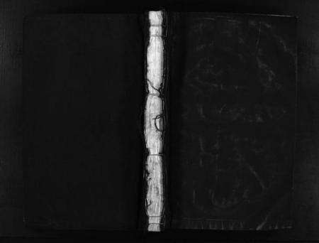 浙江金氏族谱-龙门金氏宗谱 [不分卷].pdf电子版预览图1