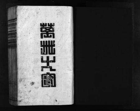 浙江金氏族谱-龙门金氏宗谱 [不分卷].pdf电子版预览图2