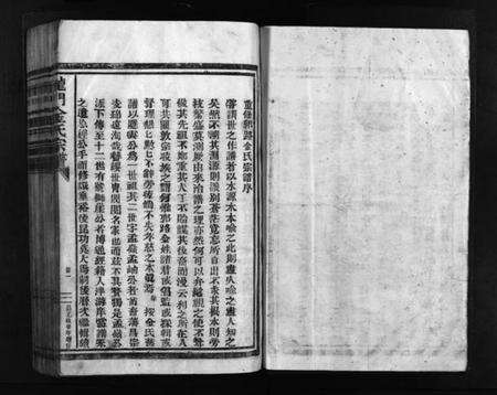 浙江金氏族谱-龙门金氏宗谱 [不分卷].pdf电子版预览图3