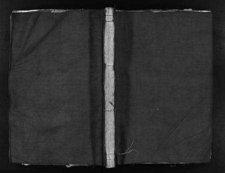 浙江金氏族谱-龙门金氏宗谱 [卷数不详].pdf电子版预览图1