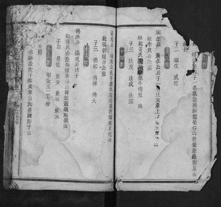 湖南余氏族谱-谏藻堂余氏族谱.pdf电子版预览图2