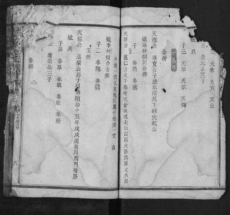 湖南余氏族谱-谏藻堂余氏族谱.pdf电子版预览图4