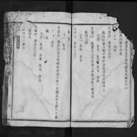 湖南余氏族谱-谏藻堂余氏族谱.pdf电子版预览图5