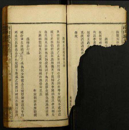 江西罗氏族谱-南山罗氏族谱.pdf电子版预览图2