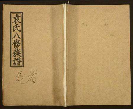 湖南袁氏族谱-袁氏八修族谱.pdf电子版缩略图