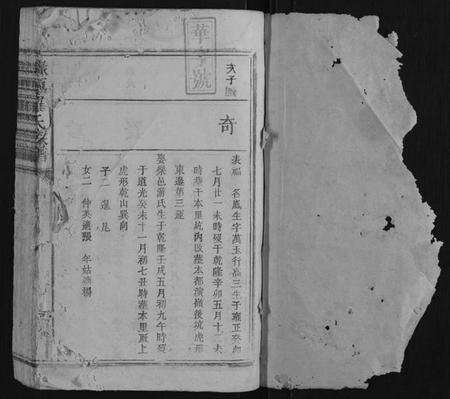 江西罗氏族谱-禄源罗氏族谱.pdf电子版预览图1