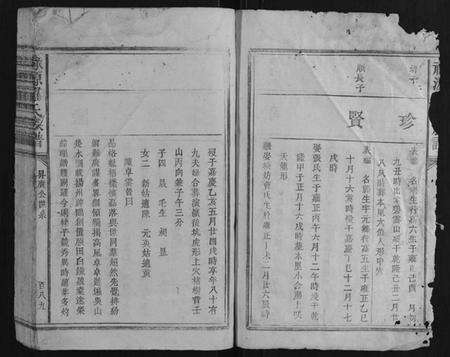 江西罗氏族谱-禄源罗氏族谱.pdf电子版预览图2