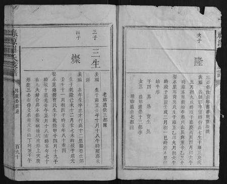 江西罗氏族谱-禄源罗氏族谱.pdf电子版预览图3