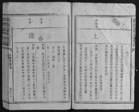 江西罗氏族谱-禄源罗氏族谱.pdf电子版预览图5