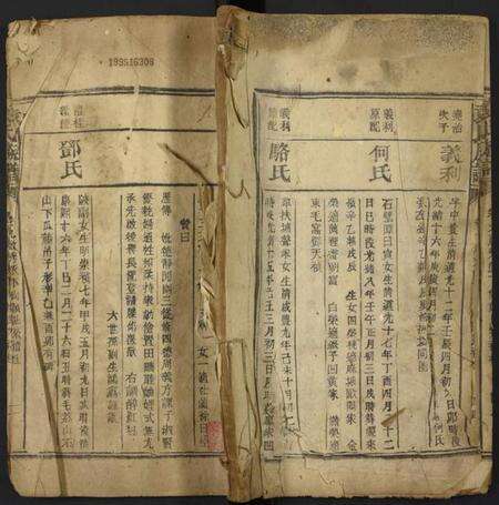 湖南袁氏族谱-袁氏族谱[残卷].pdf电子版缩略图