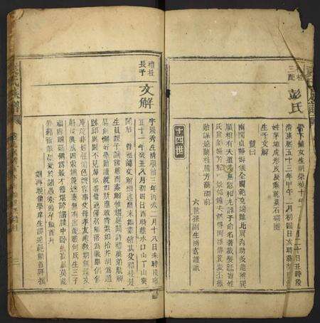 湖南袁氏族谱-袁氏族谱[残卷].pdf电子版预览图2