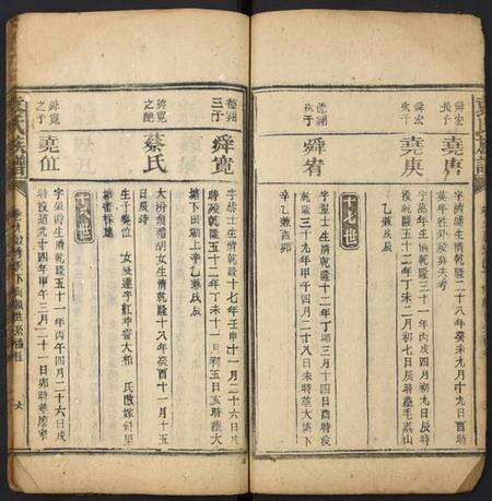 湖南袁氏族谱-袁氏族谱[残卷].pdf电子版预览图5