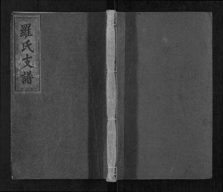 江西罗氏族谱-罗氏支谱[3卷].pdf电子版缩略图