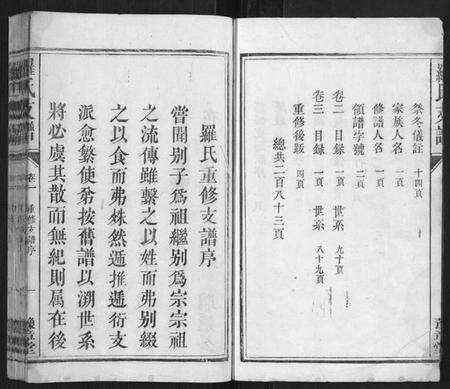 江西罗氏族谱-罗氏支谱[3卷].pdf电子版预览图3