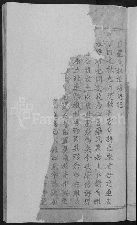 江西罗氏族谱-兴邑谢溪罗氏重修族谱 [不分卷].pdf电子版预览图5