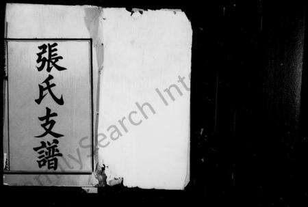 湖南张氏族谱-中湘六都张氏四修支谱 [10卷].pdf电子版预览图2