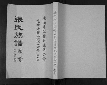 湖南张氏族谱-张氏大同宗谱.pdf电子版缩略图