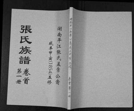 湖南张氏族谱-张氏族谱.pdf电子版缩略图