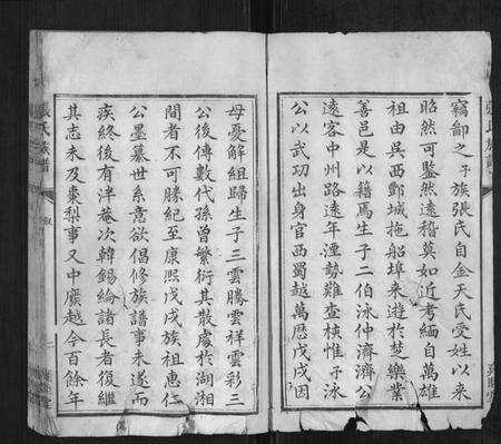 湖南张氏族谱-张氏族谱.pdf电子版预览图2