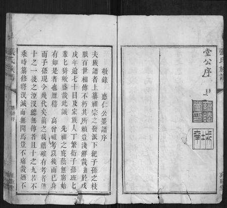 湖南张氏族谱-张氏族谱.pdf电子版预览图4