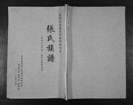 湖南张氏族谱-张氏族谱. 啓祥公后裔毛田家词祥九支.pdf电子版缩略图