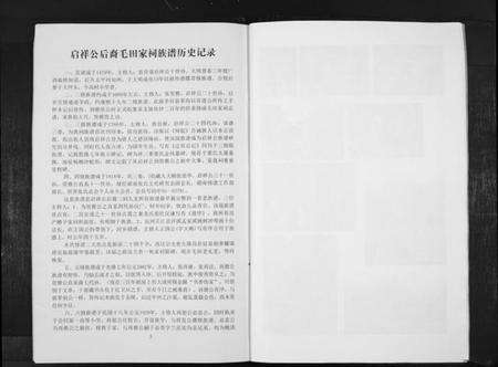 湖南张氏族谱-张氏族谱. 啓祥公后裔毛田家词祥九支.pdf电子版预览图5