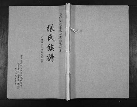 湖南张氏族谱-张氏族谱. 啓祥公后裔高村家词高村支.pdf电子版缩略图