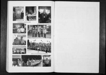 湖南张氏族谱-张氏族谱. 啓祥公后裔高村家词高村支.pdf电子版预览图2